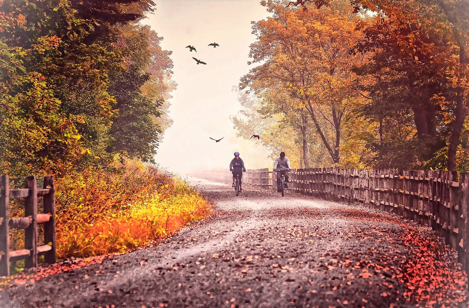 Bernadette Chiaramonte, Cyclists